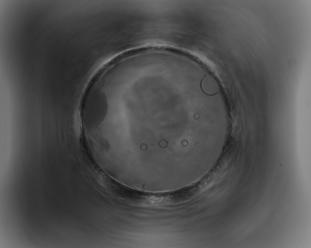 X0000093411271200710121110