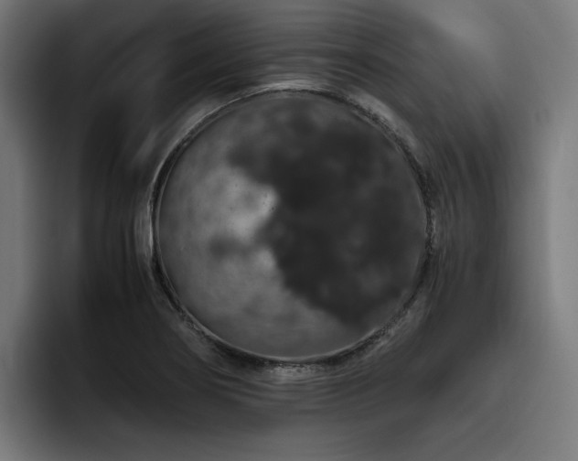 X0000093411274200710121110
