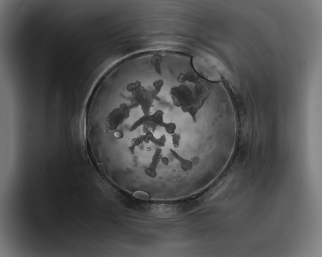 X0000093411275200710121110