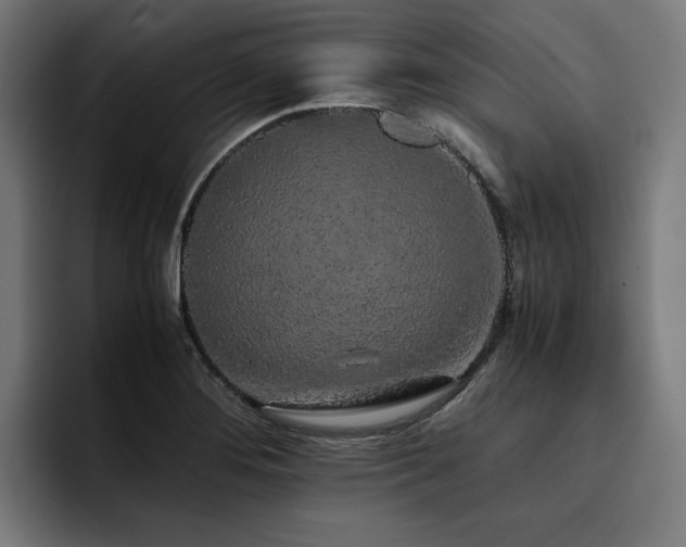 X0000093411276200710121110
