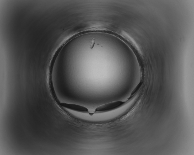 X0000093411277200710121110