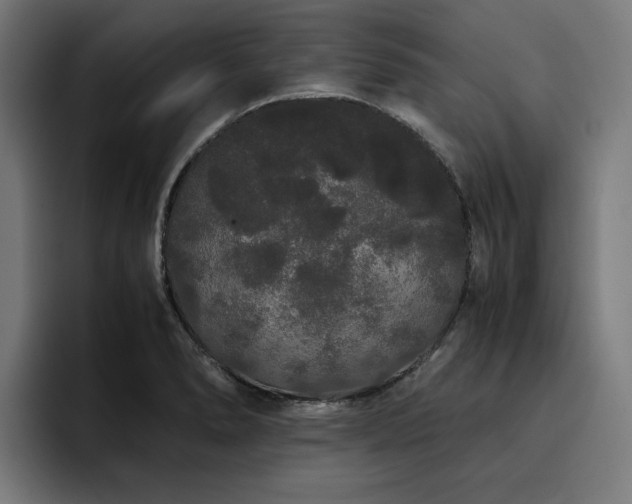 X0000093411278200710121110