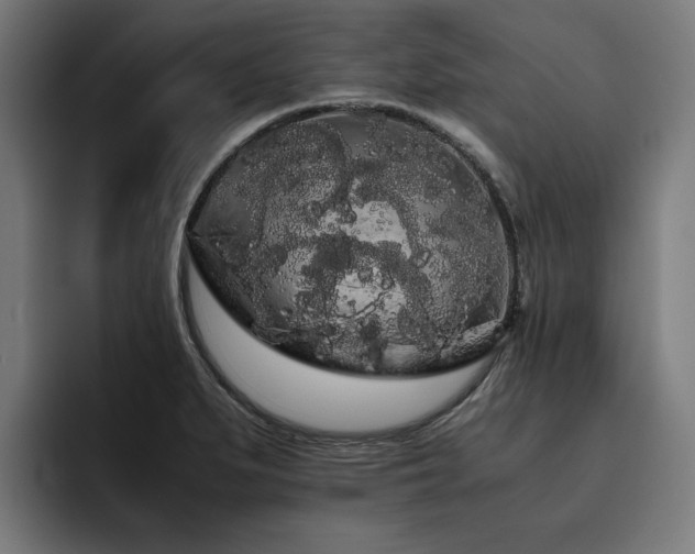 X0000093411279200710121110