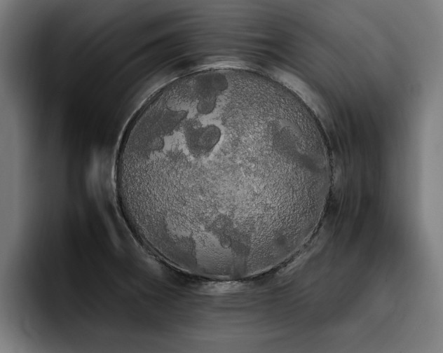 X0000093411282200710121110