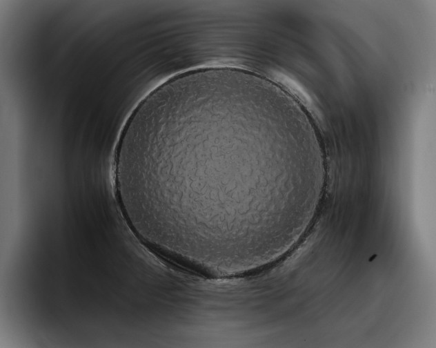 X0000093411284200710121110