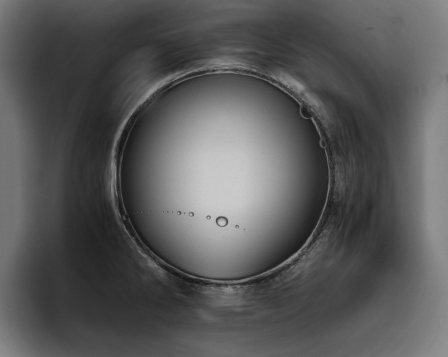 X0000093411286200710121110