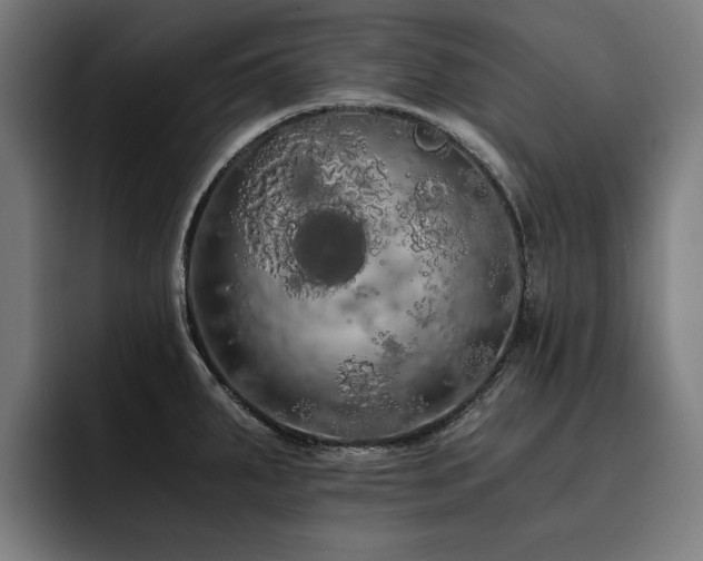 X0000093411287200710121110