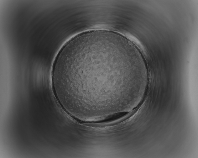 X0000093411288200710121110