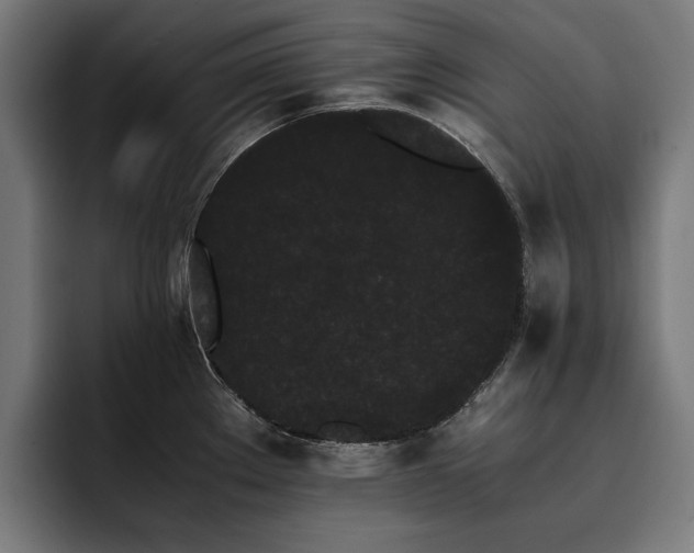 X0000093411289200710121110