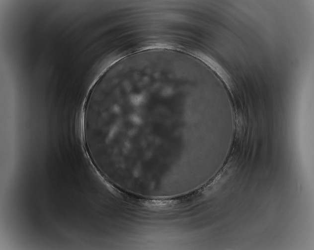 X0000093411290200710121110