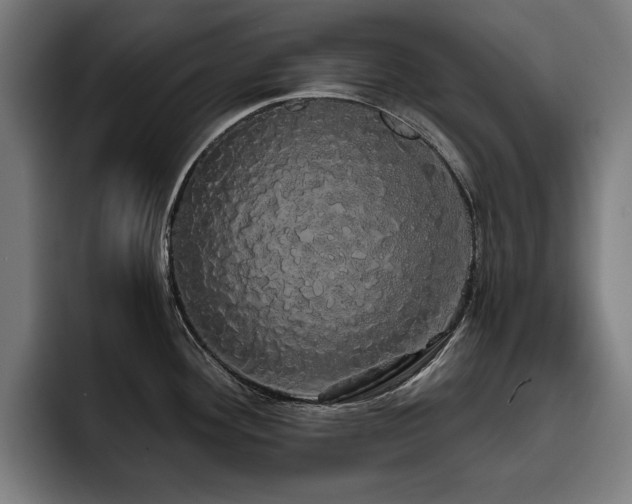 X0000093411292200710121110