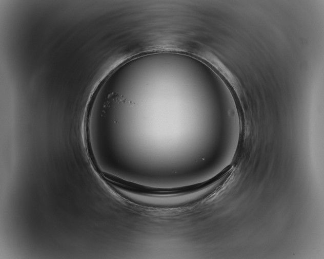 X0000093411293200710121110