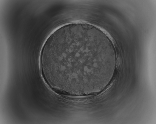X0000093411295200710121110
