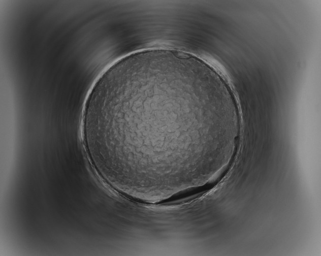 X0000093411296200710121110