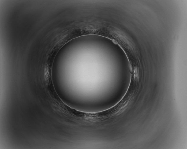 X0000093411299200710121110