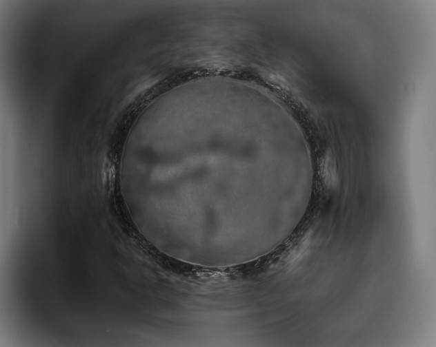 X0000093411302200710121110