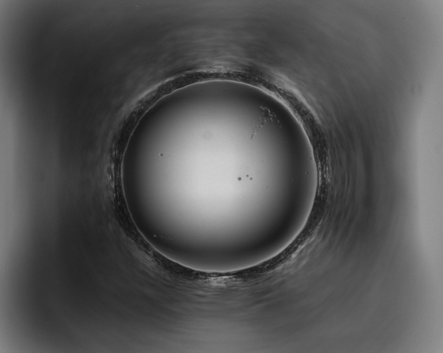 X0000093411304200710121110