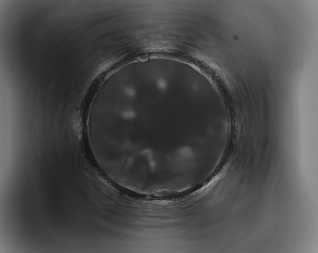 X0000093411306200710121110