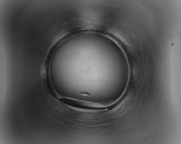 X0000093411309200710121110