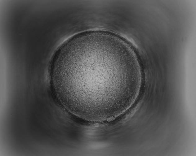 X0000093411311200710121110