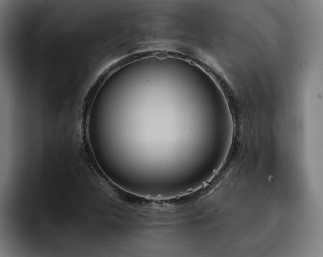 X0000093411312200710121110