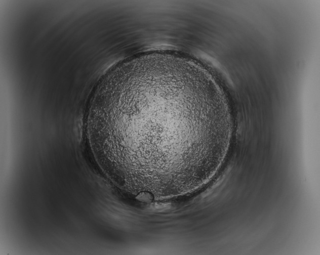X0000093411313200710121110