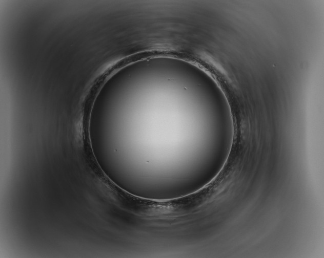 X0000093411315200710121110