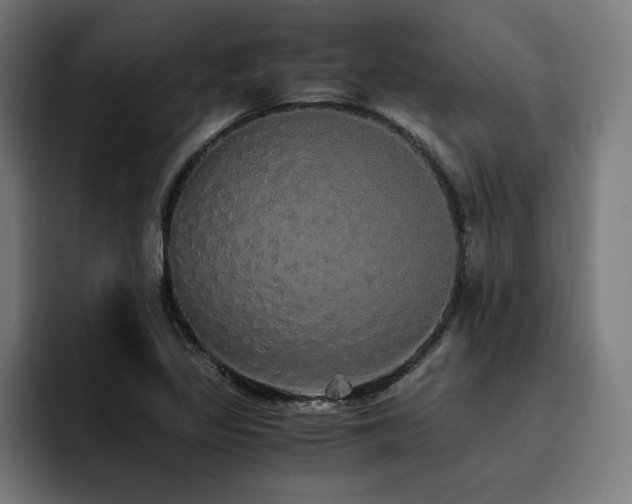 X0000093411317200710121110