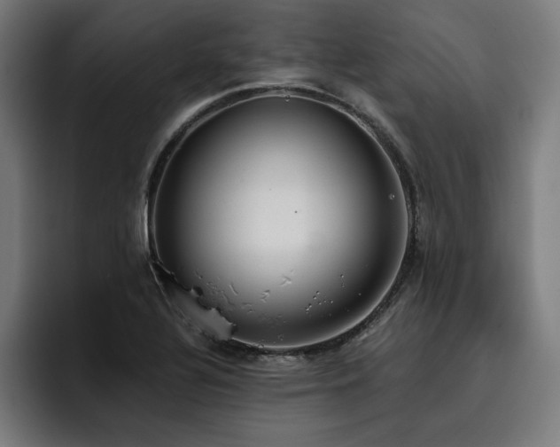 X0000093411320200710121110