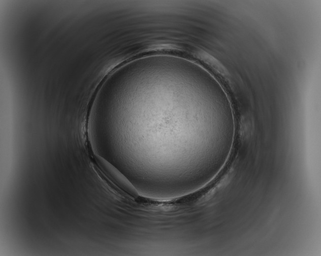 X0000093411321200710121110