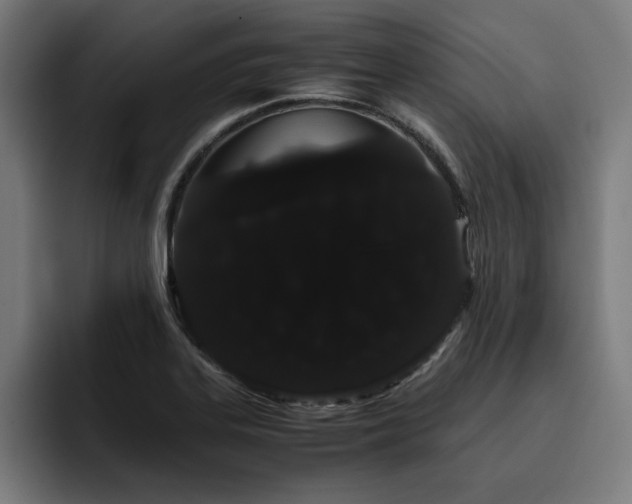 X0000093411323200710121110
