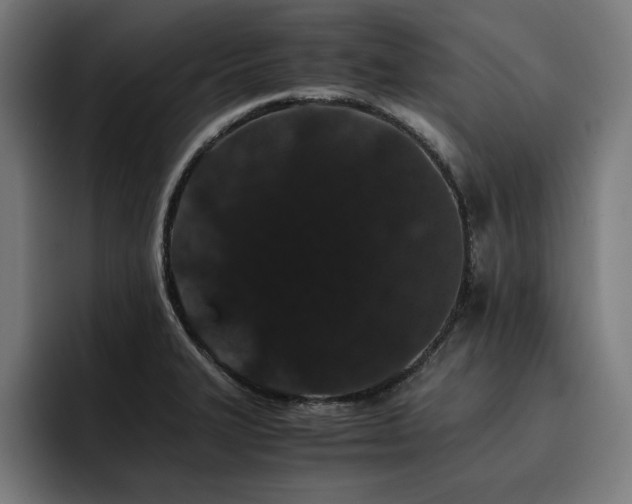 X0000093411327200710121110
