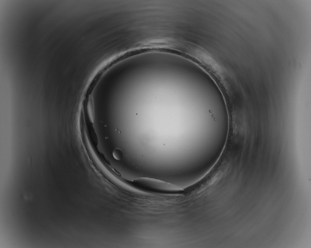 X0000093411328200710121110