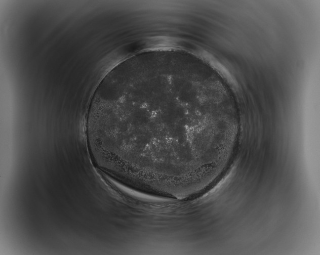 X0000093411329200710121110