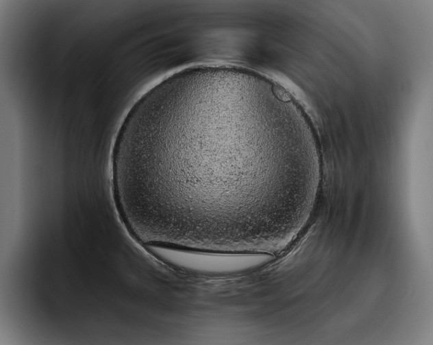 X0000093411335200710121110