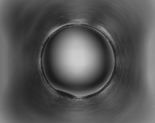 X0000093411336200710121110