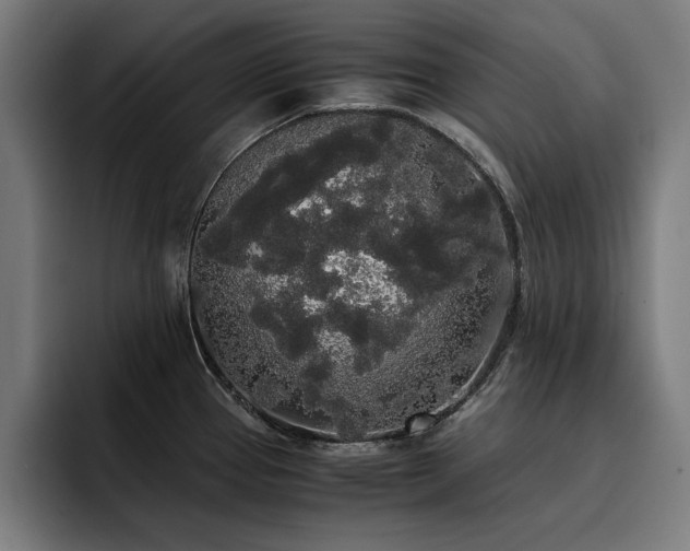 X0000093411337200710121110