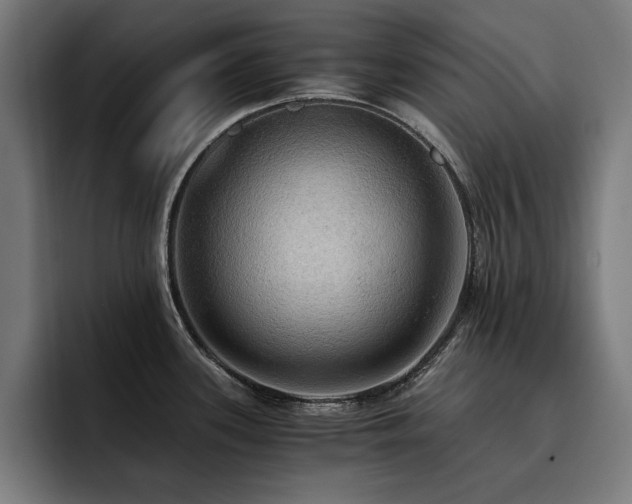 X0000093411339200710121110