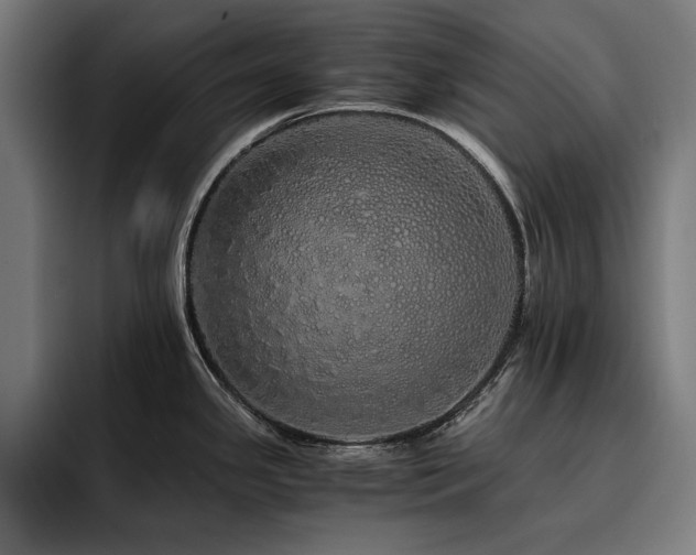 X0000093411341200710121110