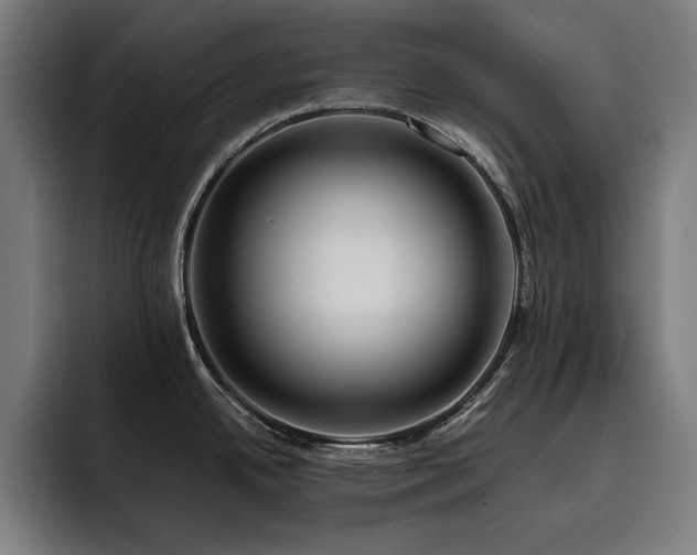 X0000093411342200710121110