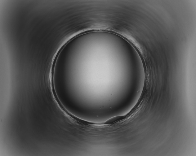 X0000093411343200710121110