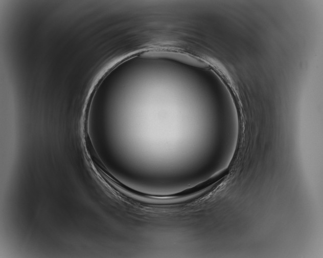 X0000093411344200710121110