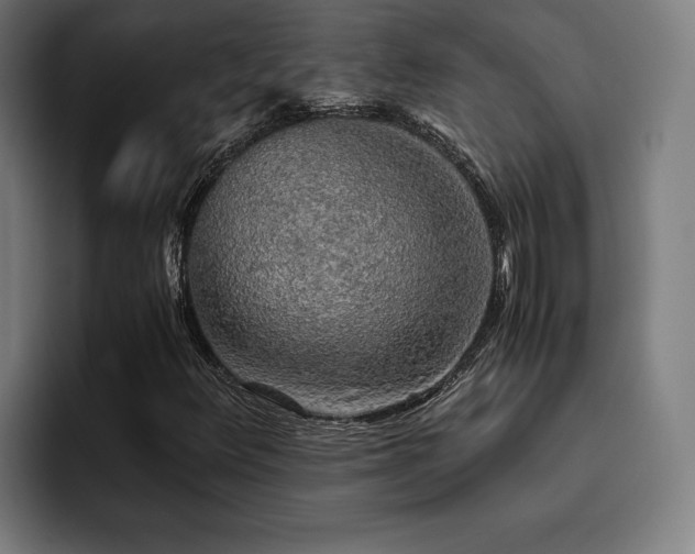 X0000093411348200710121109
