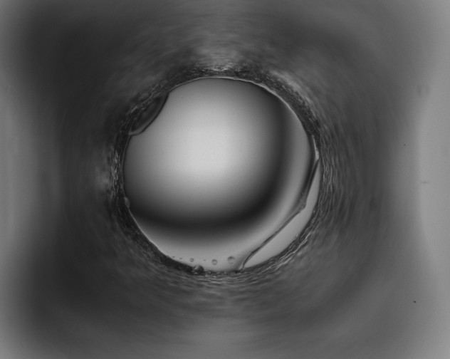 X0000093411349200710121109