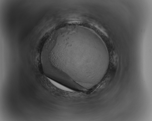 X0000093411351200710121109