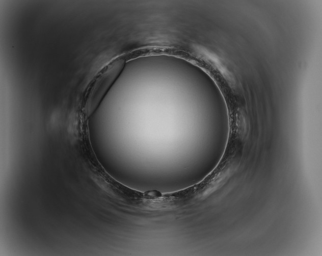 X0000093411352200710121109
