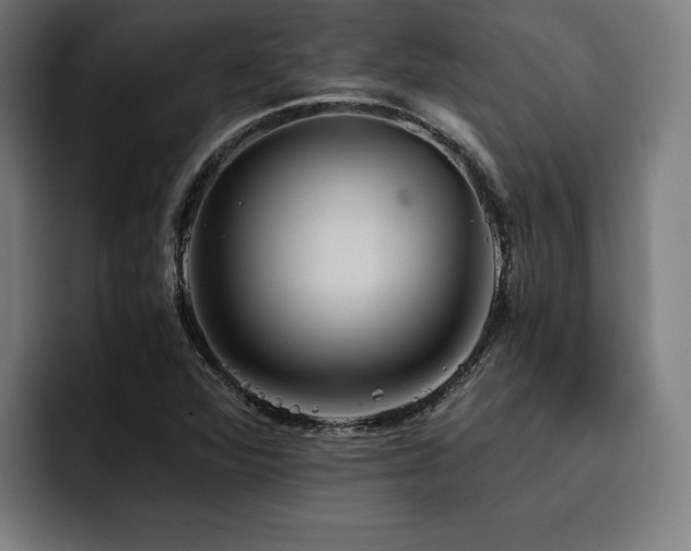 X0000093411360200710121109