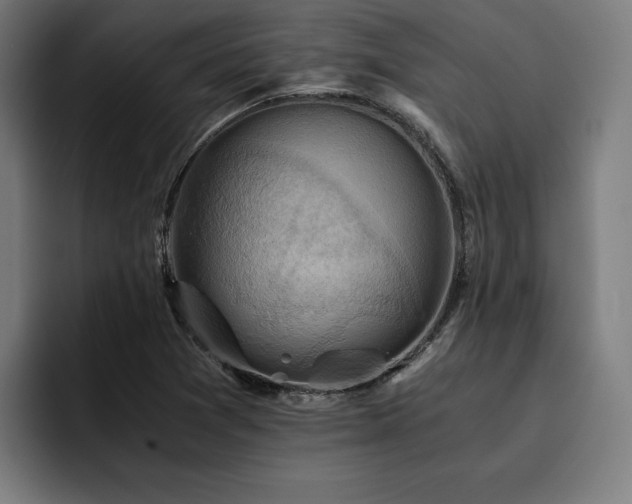X0000093411361200710121109