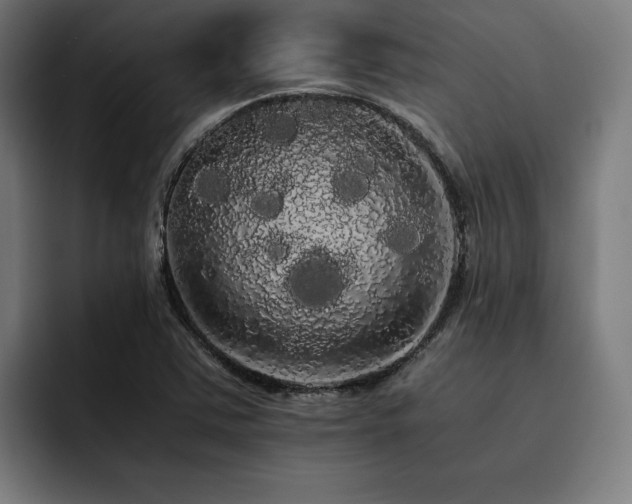 X0000093411363200710121109