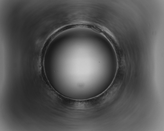 X0000093411364200710121109